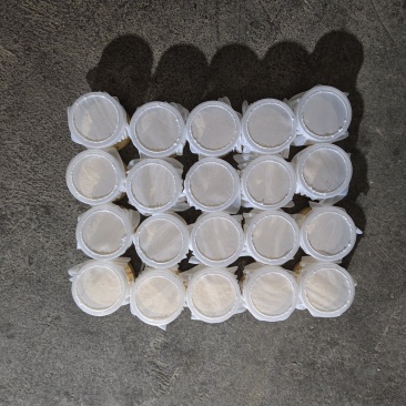 黑水虻虫卵批发，价格便宜