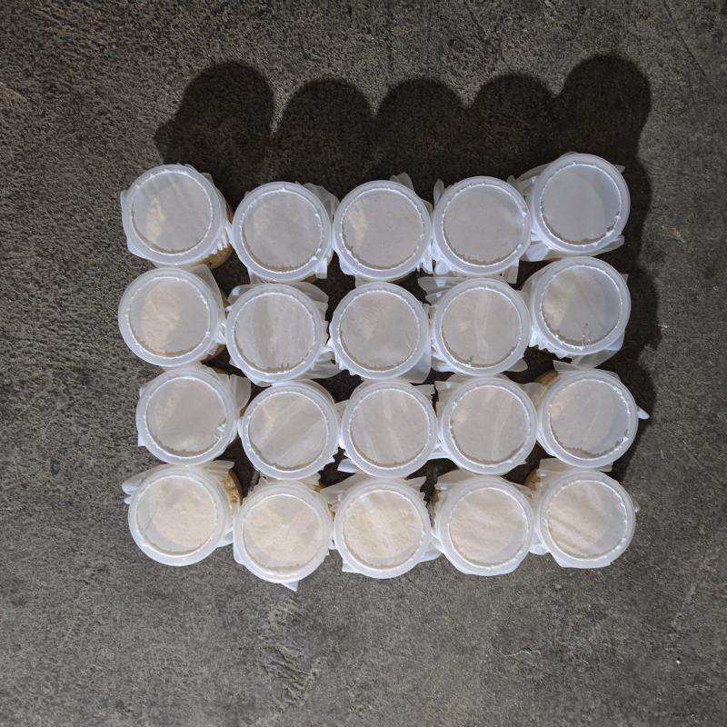 黑水虻虫卵批发，价格便宜