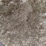 黑水虻虫卵批发，价格便宜