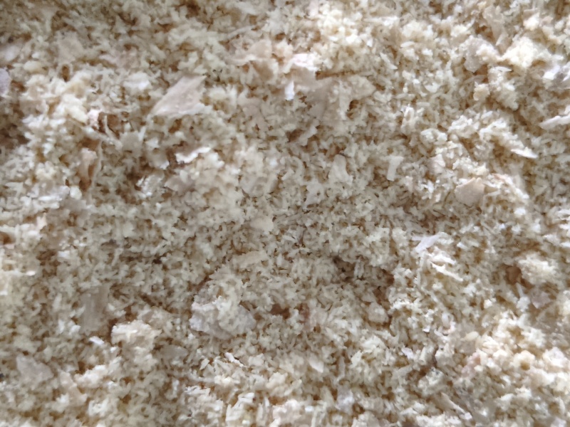 黑水虻虫卵批发，价格便宜