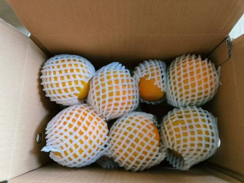 陕西阳丰脆柿巧克力柿可直接吃脆甜一件代发