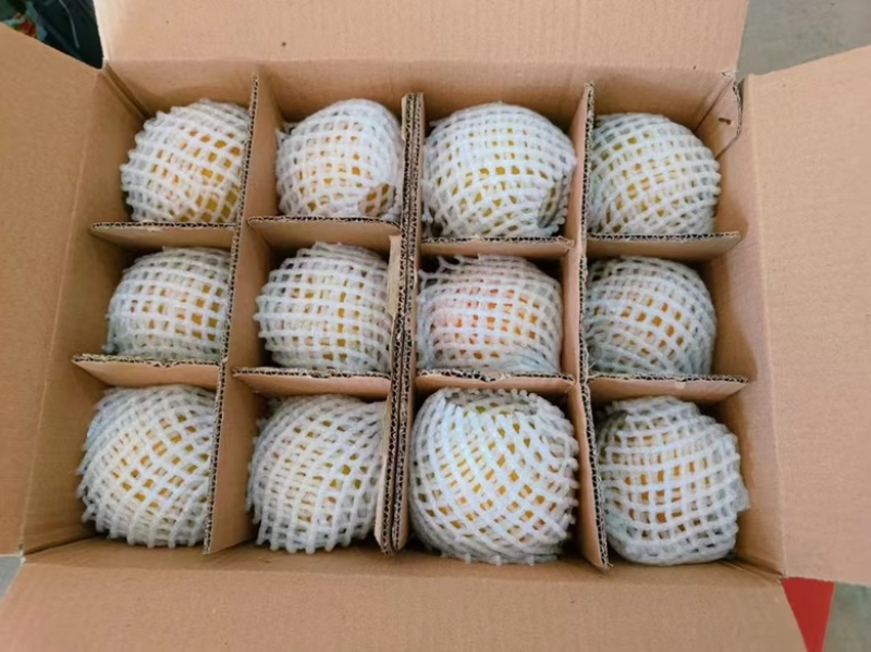 陕西阳丰脆柿巧克力柿可直接吃脆甜一件代发