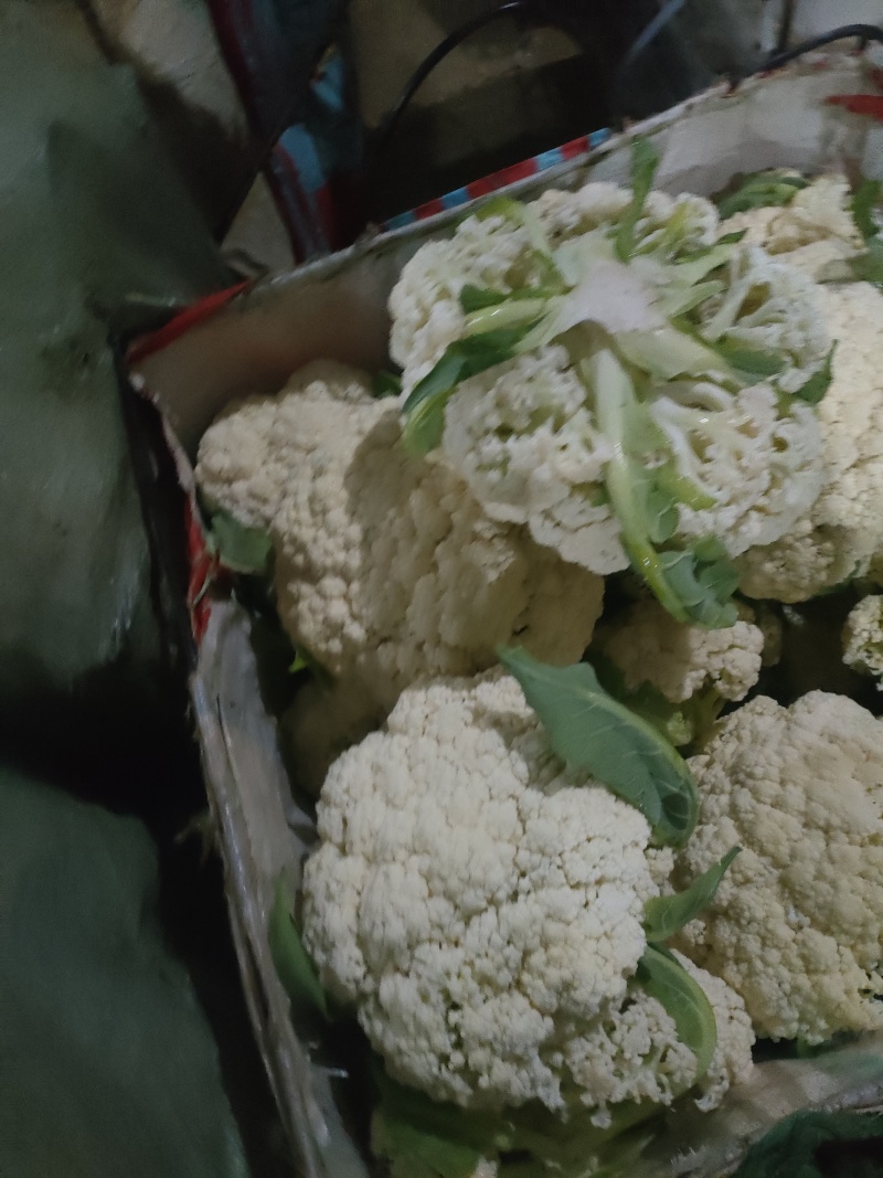 福建南平有机花菜万亩产地开始预售欢迎咨询