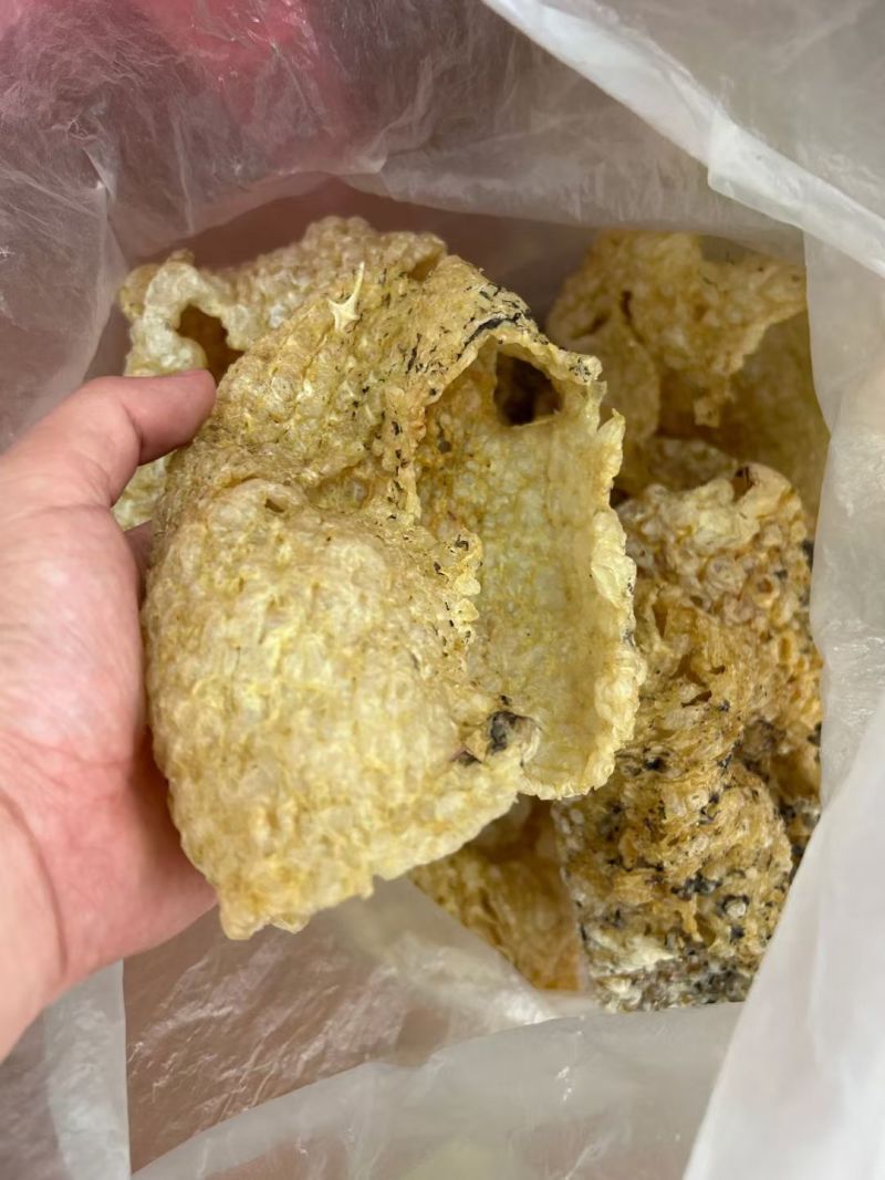 盐爆刺龟皮厚肉很鲜，爽口，放点瑶柱一点鸡肉都很鲜甜
