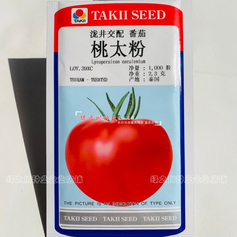 泷井桃太粉桃梦茜心动番茄种子酸甜水果番茄种籽口感型西红柿