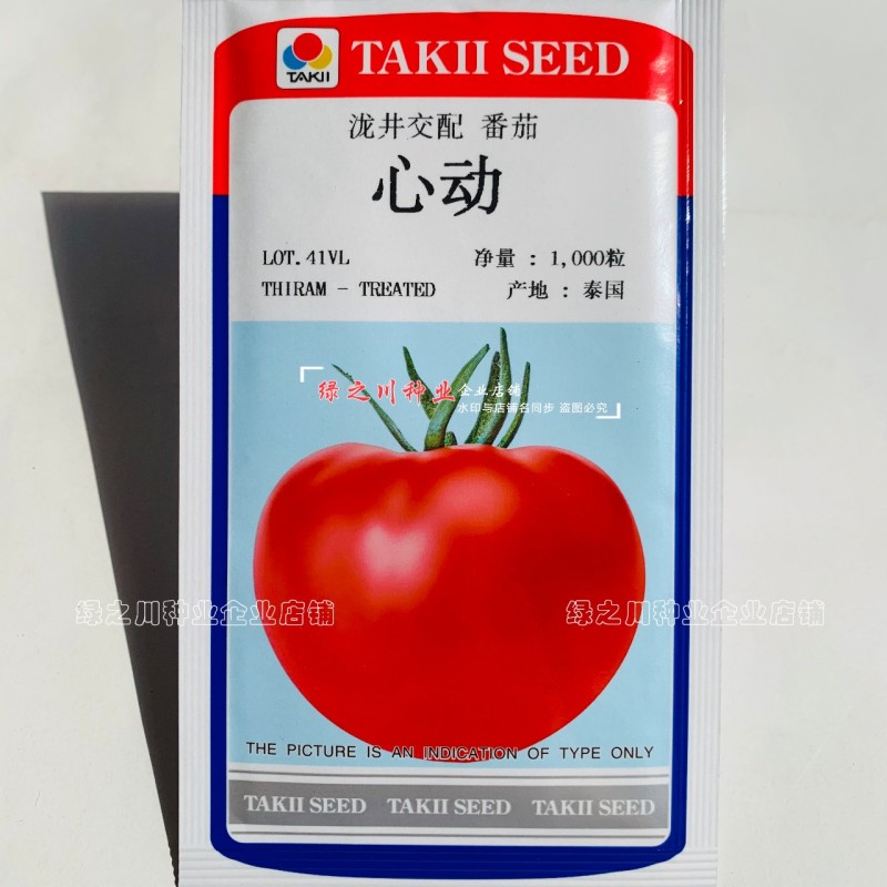 泷井桃太粉桃梦茜心动番茄种子酸甜水果番茄种籽口感型西红柿