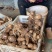 精品芋头，沙土地，8520，潍坊昌乐地区，大量现货