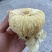 新品种贝贝白雪南瓜软糯香甜板栗味贝贝南瓜宝宝辅食