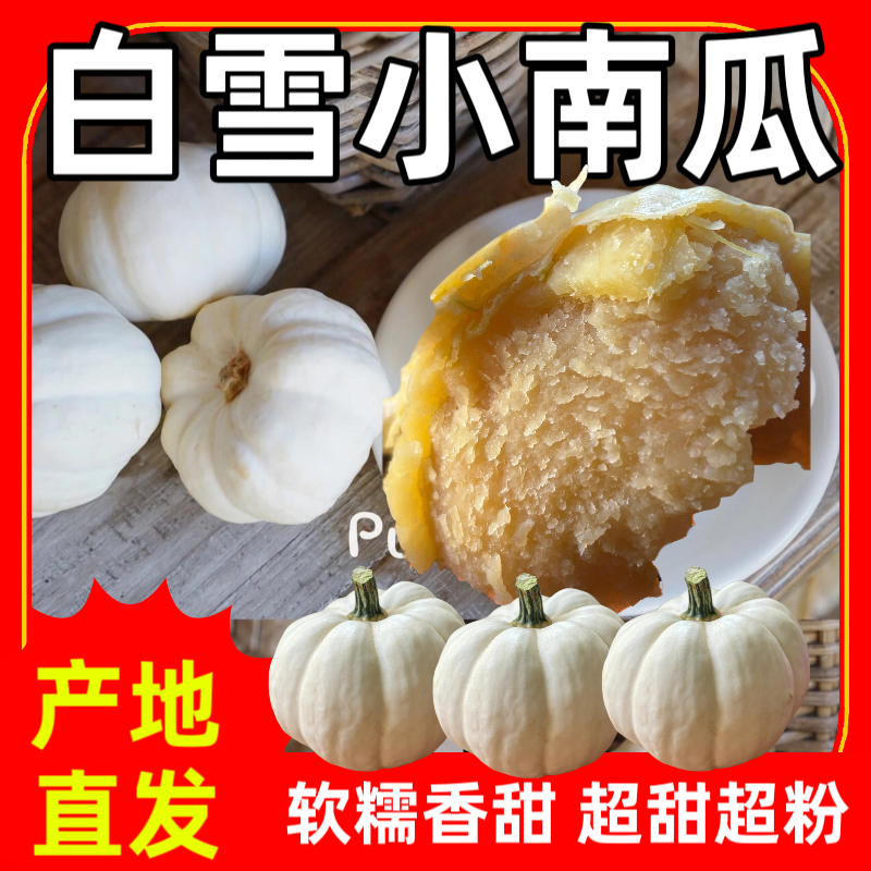 新品种贝贝白雪南瓜软糯香甜板栗味贝贝南瓜宝宝辅食