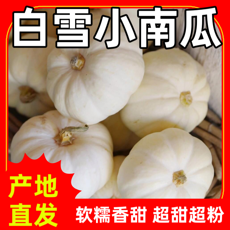 新品种贝贝白雪南瓜软糯香甜板栗味贝贝南瓜宝宝辅食