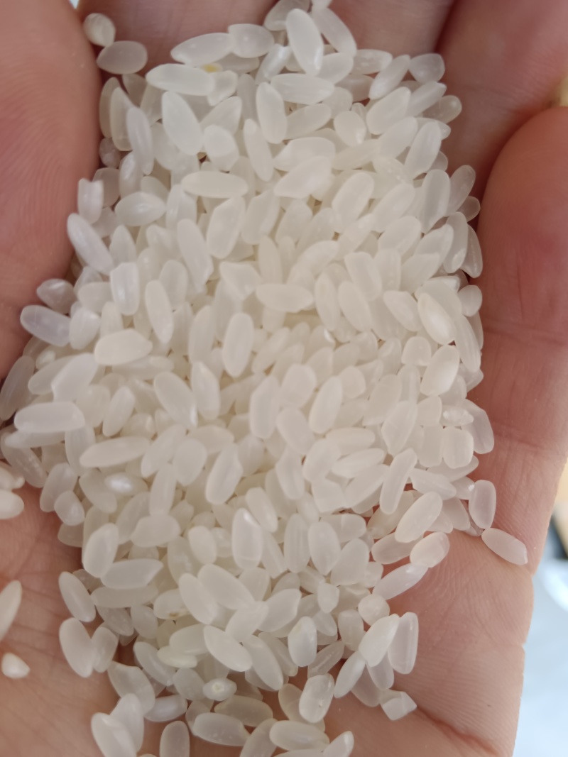 寒香玉大米