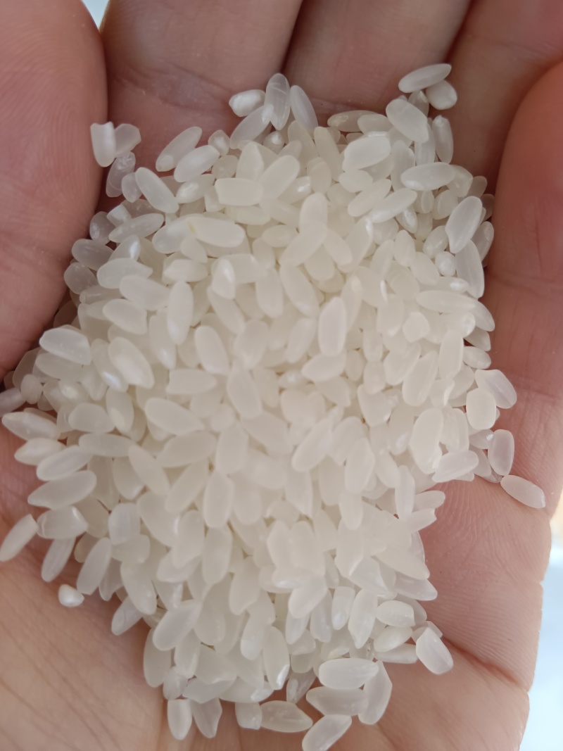 寒香玉大米