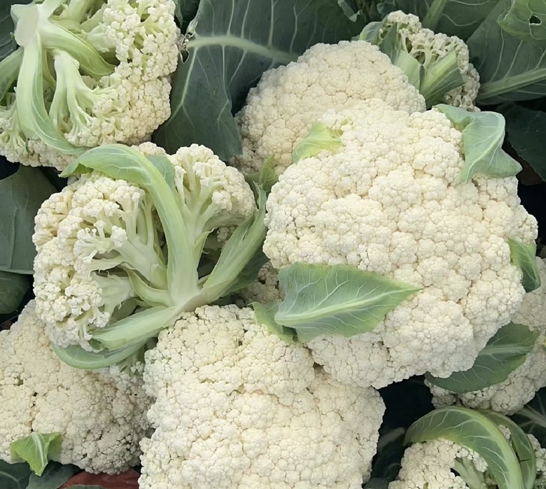 成品图：菜花与茭白炒制完成