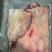 山东精品宫后夹肉厂家直发品质保证量大从优一手货源