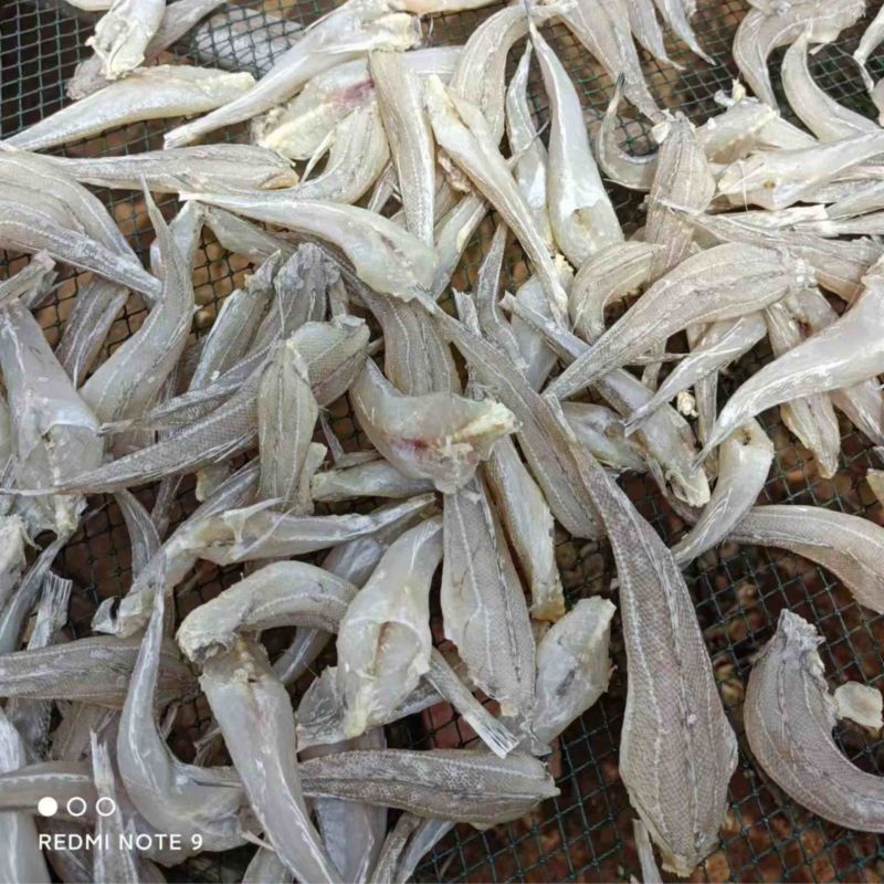 沙甲鱼干
