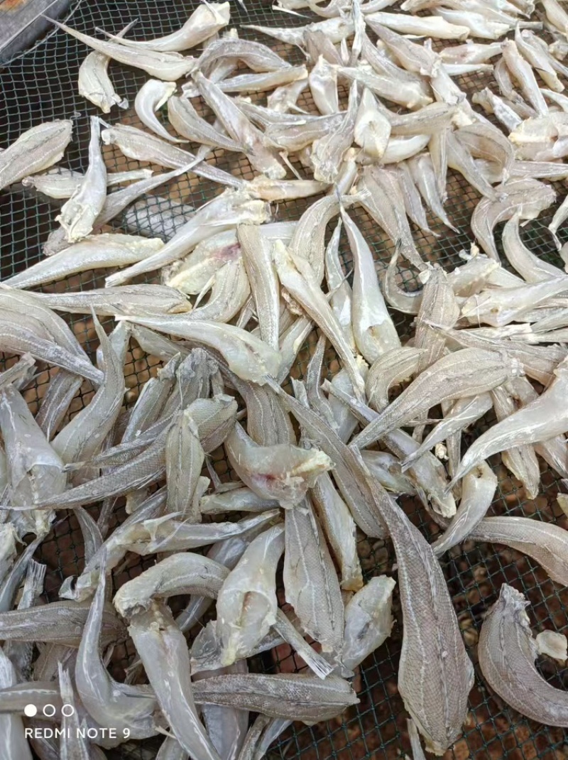 沙甲鱼干