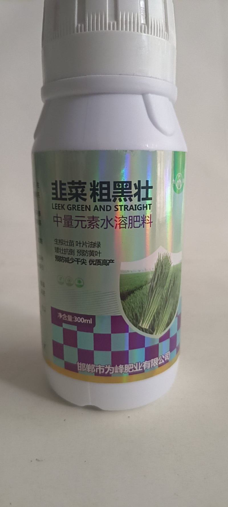韭菜粗又壮控旺抗倒叶黑增粗柱丛直立可用于韭菜青菜等