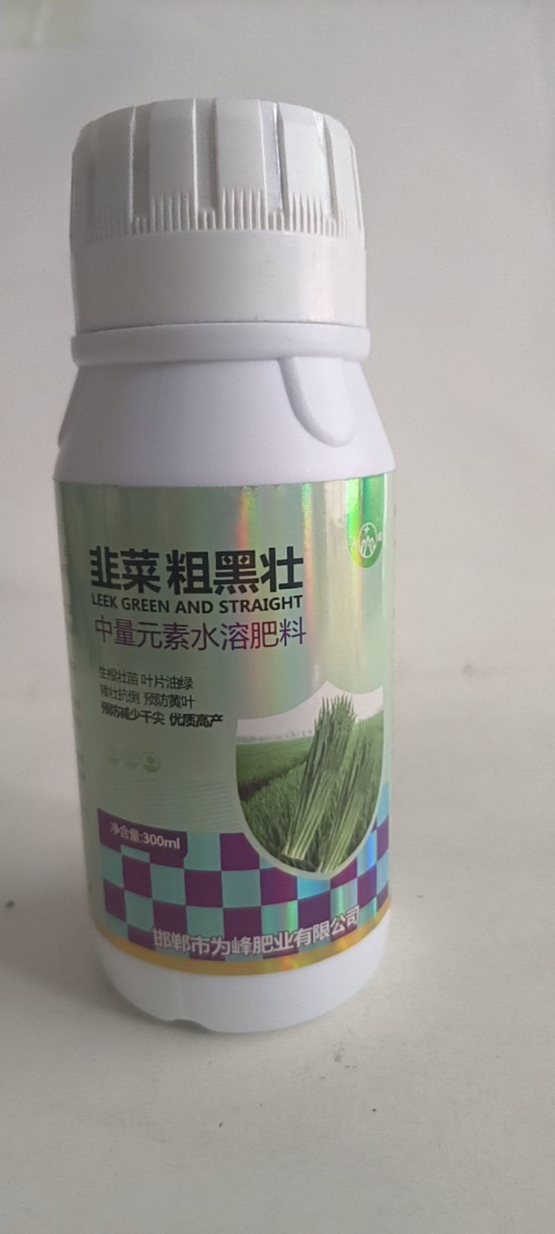 韭菜粗又壮控旺抗倒叶黑增粗柱丛直立可用于韭菜青菜等