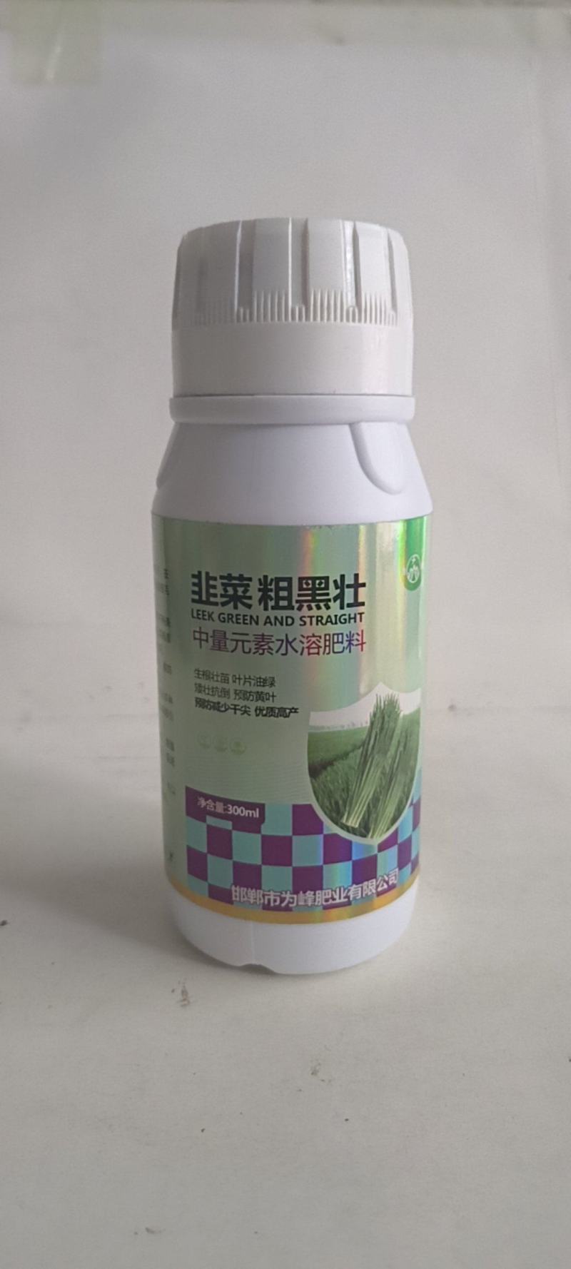 韭菜粗又壮控旺抗倒叶黑增粗柱丛直立可用于韭菜青菜等