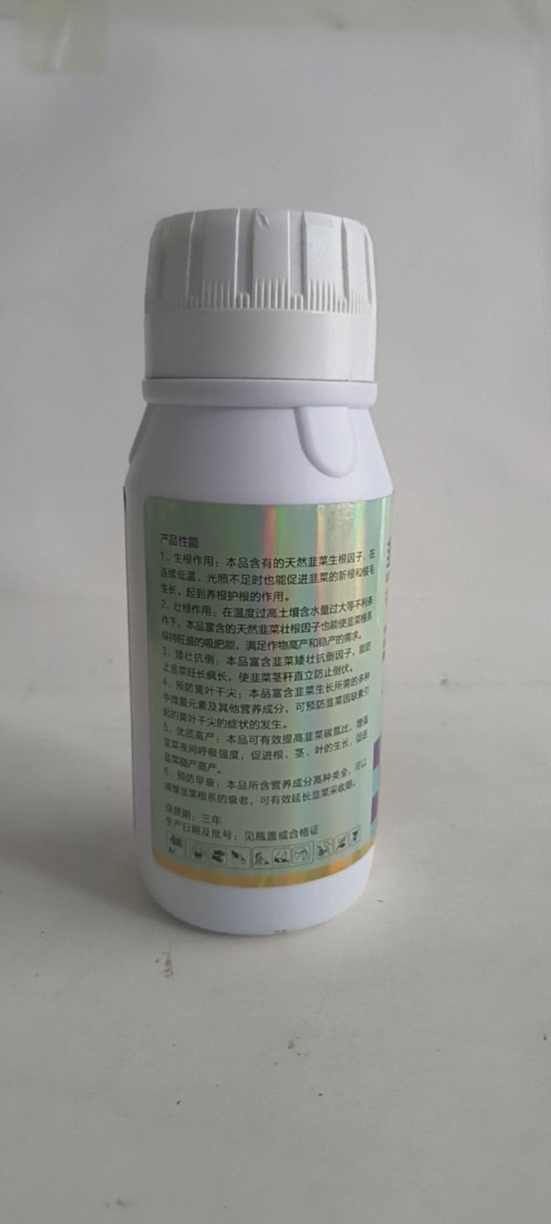 韭菜粗又壮控旺抗倒叶黑增粗柱丛直立可用于韭菜青菜等