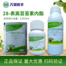 云大12028-表高芸苔素内酯解药害植物生长调节剂