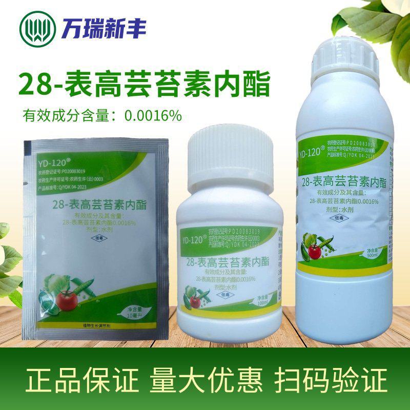 云大12028-表高芸苔素内酯解药害植物生长调节剂