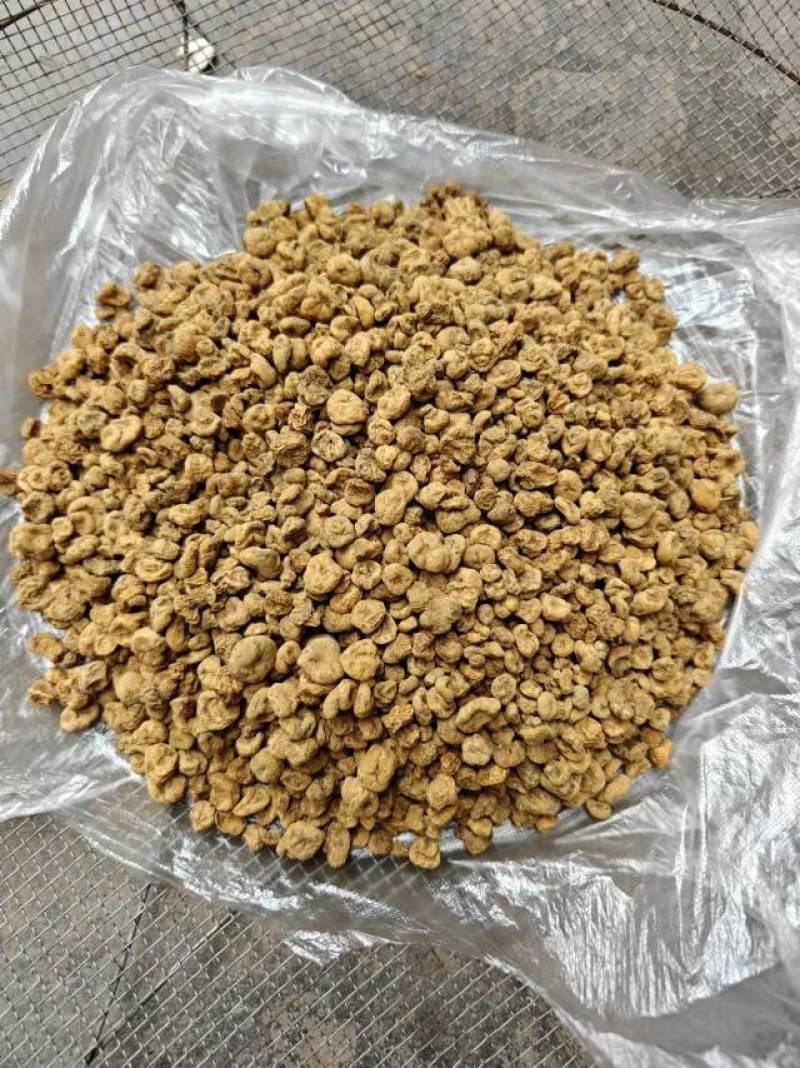 新鲜河南元胡，产地直供，品质保证，**特惠，快来选购！