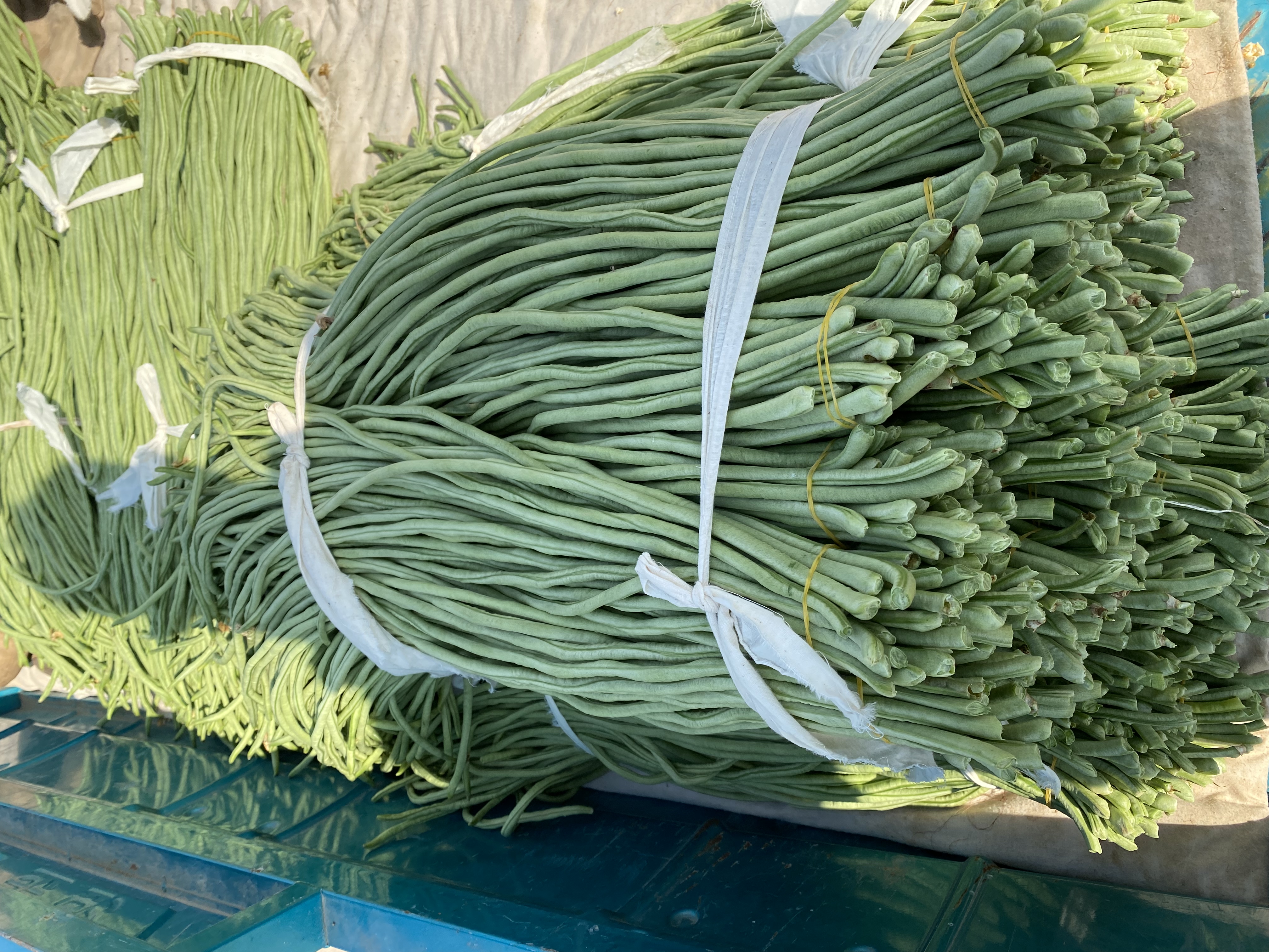 新鲜豌豆尖市场选购图