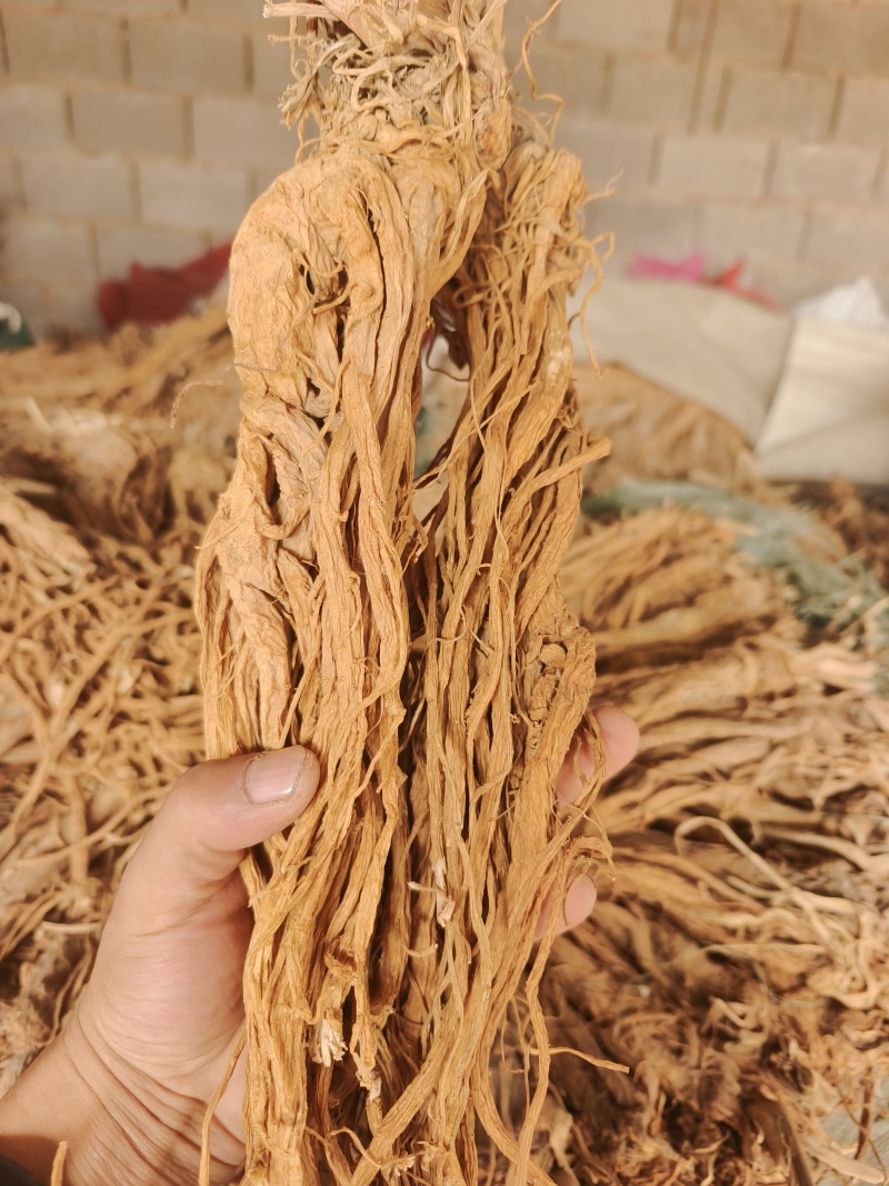 甘肃本地独活精品个子，干度好。质量有保障。产地直发