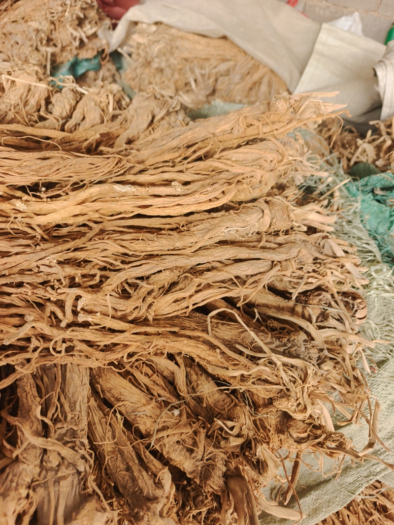 甘肃本地独活精品个子，干度好。质量有保障。产地直发