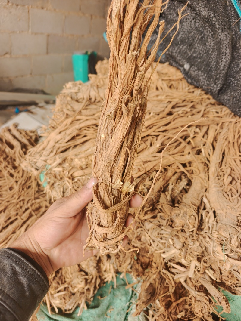 甘肃本地独活精品个子，干度好。质量有保障。产地直发