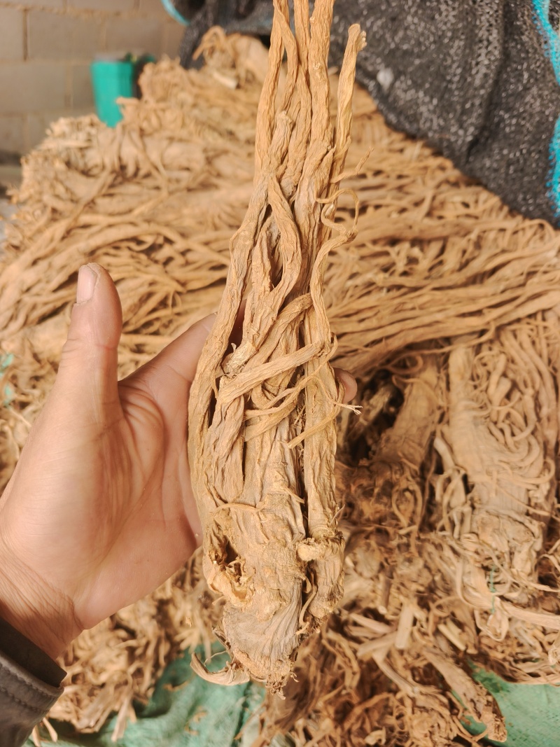 甘肃本地独活精品个子，干度好。质量有保障。产地直发