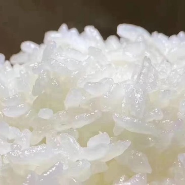 新鲜稻花香，上海直供，品质保证