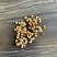 杂交簇生高辣朝天椒种子，早熟，分枝力强，辣味浓，易干制