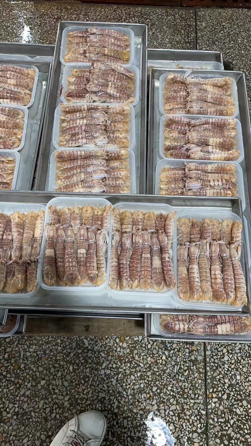 皮皮虾(活煮熟冻，肉质饱满，鲜度100/%)