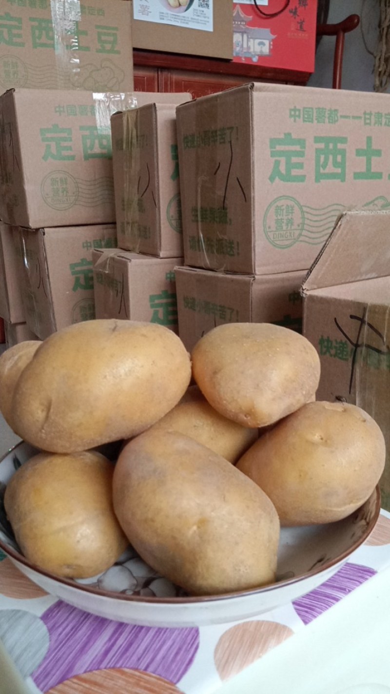 甘肃陇西马铃薯。只有黑土地才能种成陇七的品种。