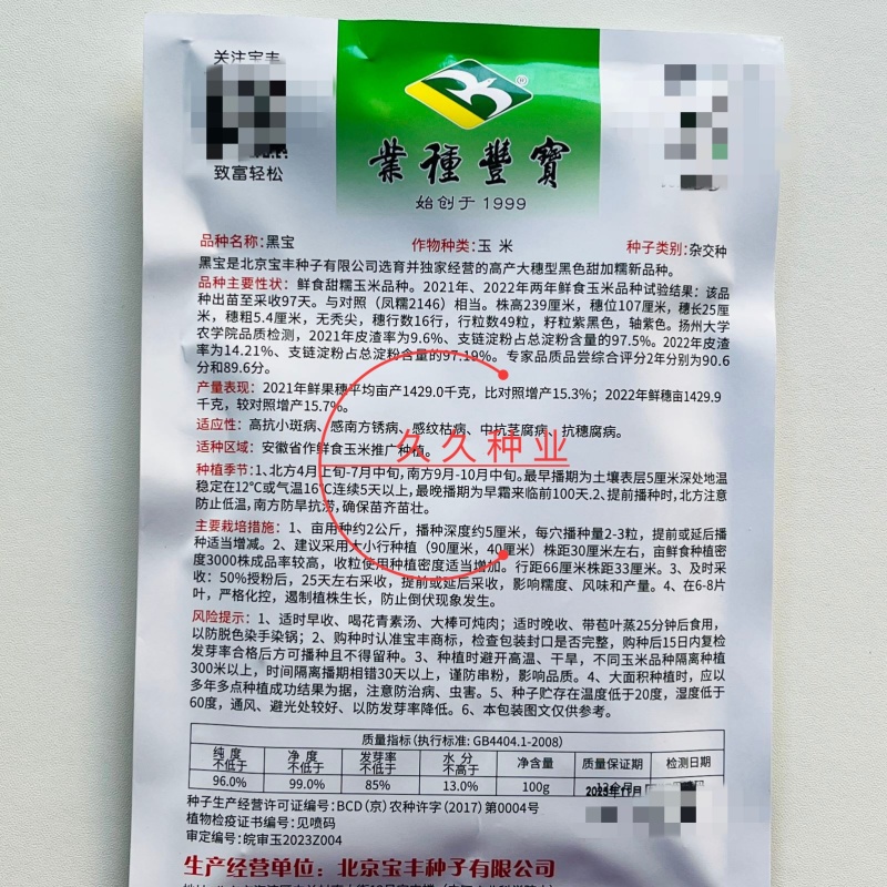 黑宝甜糯黑玉米种籽子富含花青素大棒高产抗病适应性广春夏秋