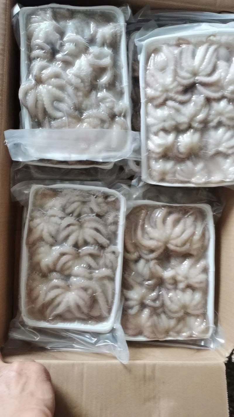 章鱼(去肉脏，盐磨八爪鱼)