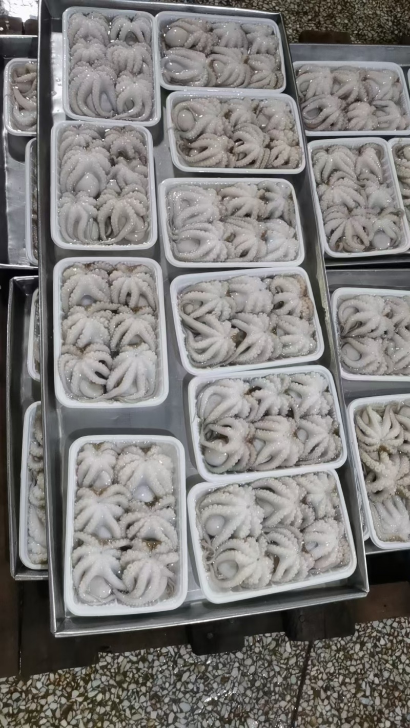 章鱼(去肉脏，盐磨八爪鱼)