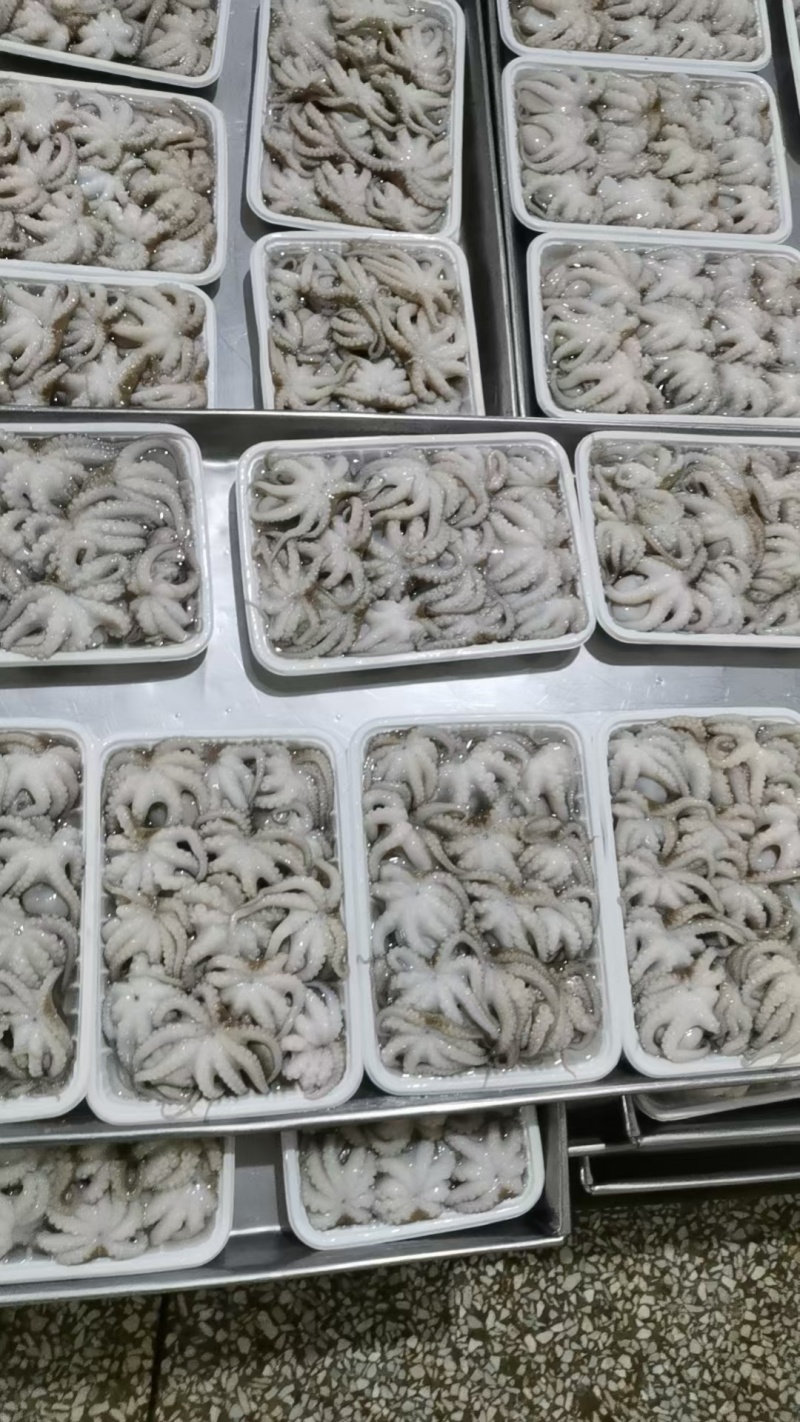章鱼(去肉脏，盐磨八爪鱼)