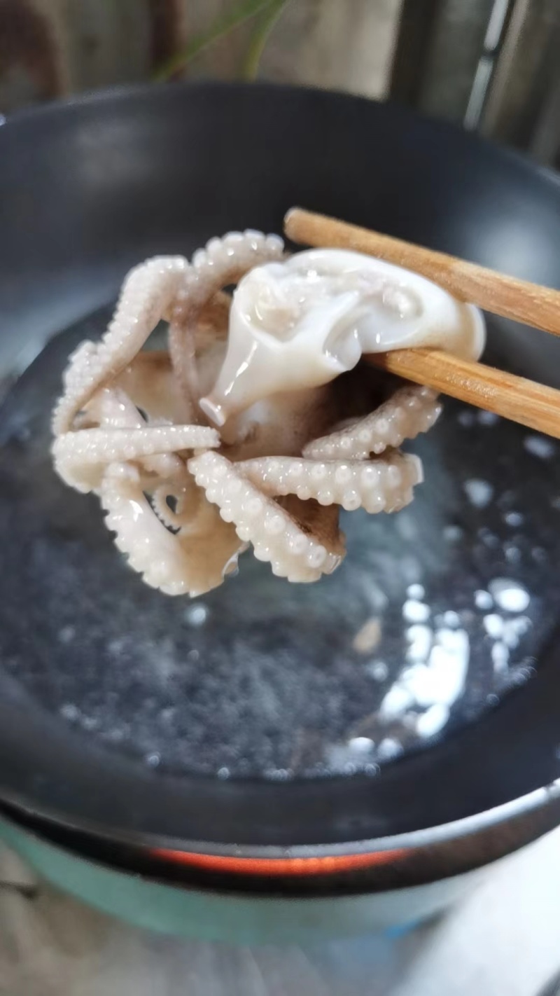 章鱼(去肉脏，盐磨八爪鱼)