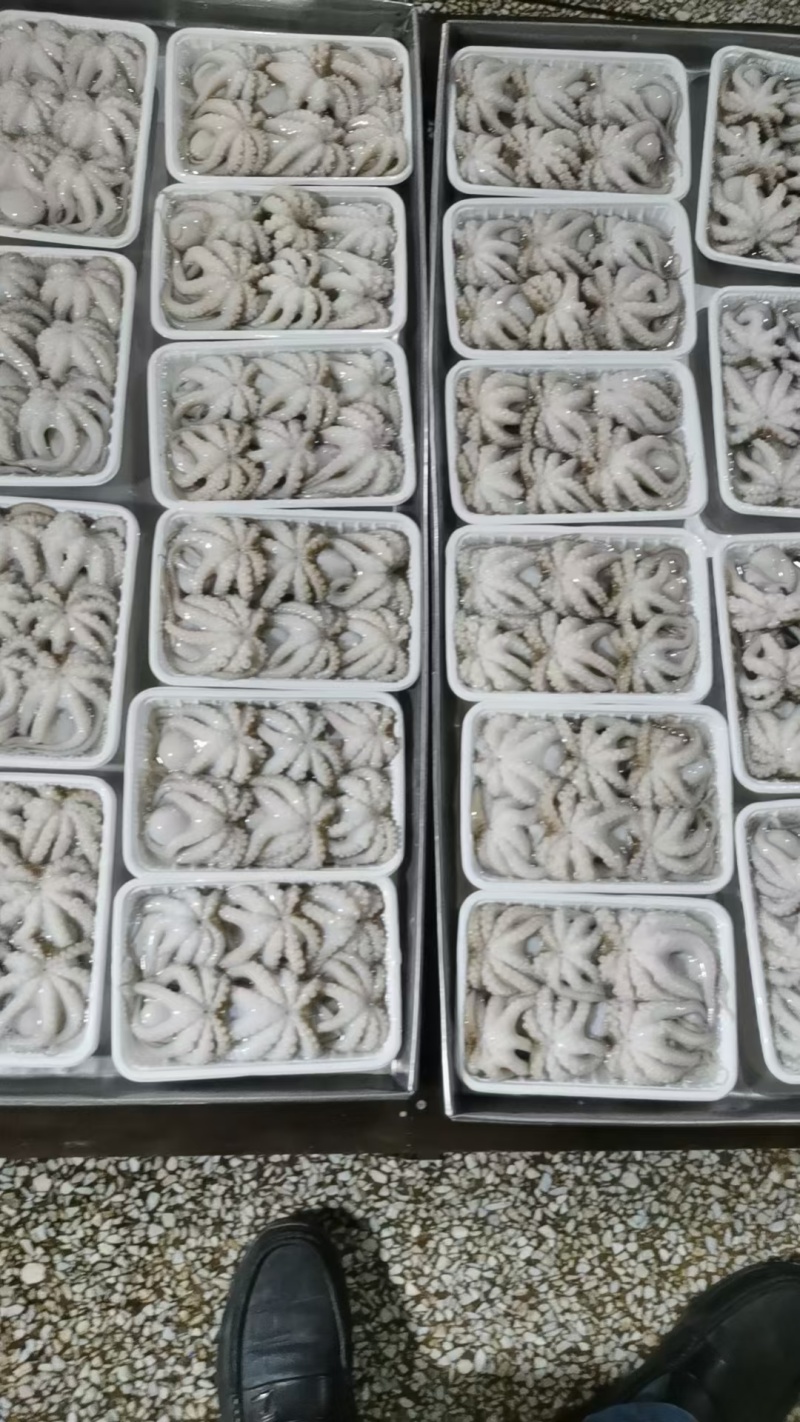章鱼(去肉脏，盐磨八爪鱼)