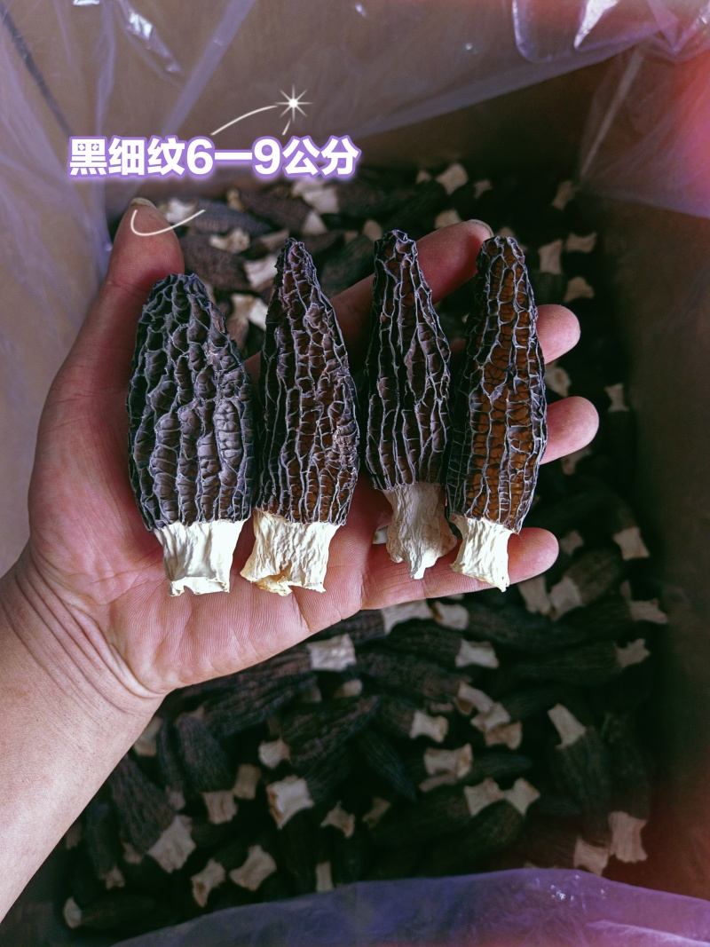 【产地好货】羊肚菌干货头茬7至10cm原产地直发羊肚菌