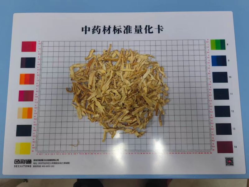 广东连州玉竹大量供应基地直发质量保证规格齐全全国发货