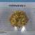 广东连州玉竹大量供应基地直发质量保证规格齐全全国发货