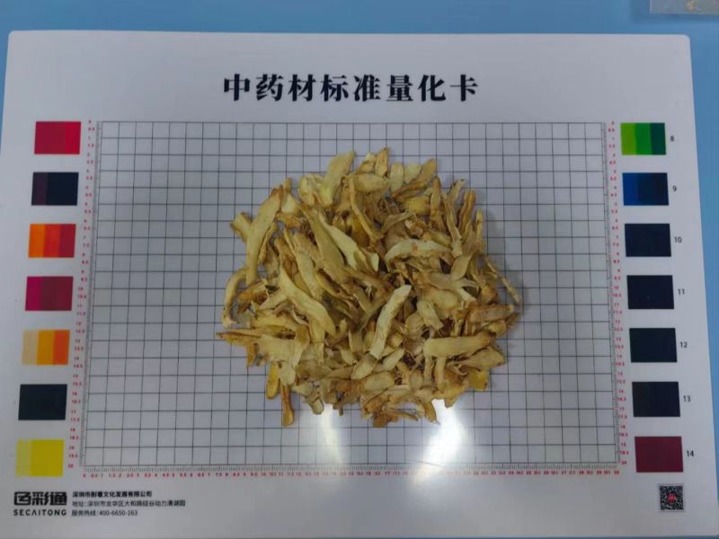 广东连州玉竹大量供应基地直发质量保证规格齐全全国发货