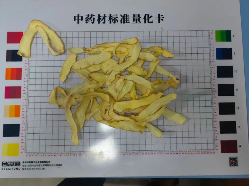 广东连州玉竹大量供应基地直发质量保证规格齐全全国发货