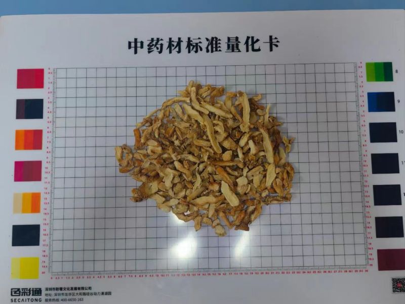 广东连州玉竹大量供应基地直发质量保证规格齐全全国发货