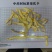 广东连州玉竹大量供应基地直发质量保证规格齐全全国发货
