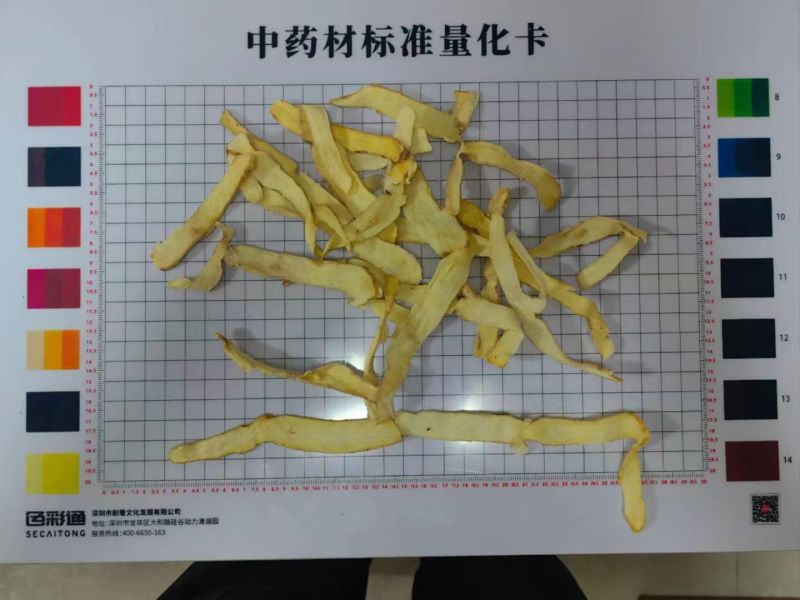 广东连州玉竹大量供应基地直发质量保证规格齐全全国发货
